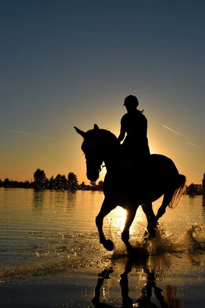 How to Make the Most of Summer Hacking