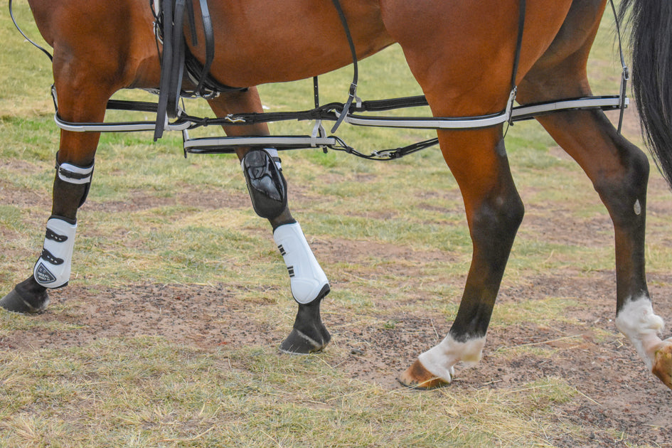 Zilco Harness Racing Hopples & Gait Correctors – Riding & Harness Stuff