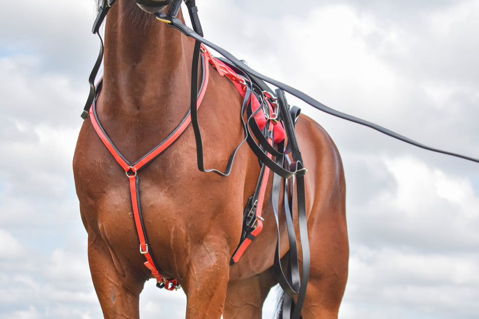 Zilco Harness Racing Breastplates, Traces & Underchecks – Riding ...