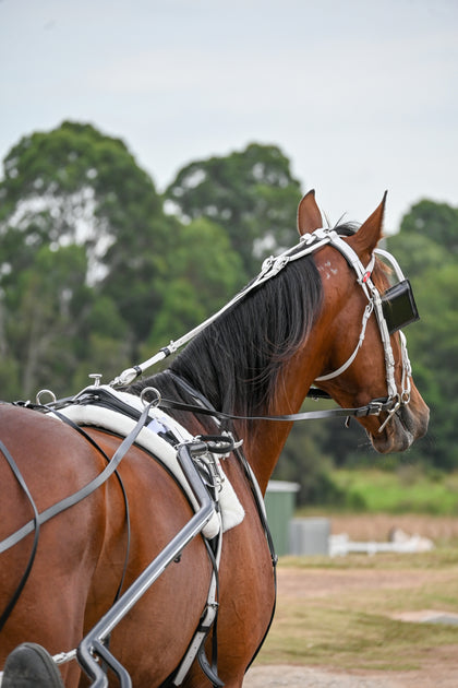 Zilco Harness Racing Headchecks – Riding & Harness Stuff
