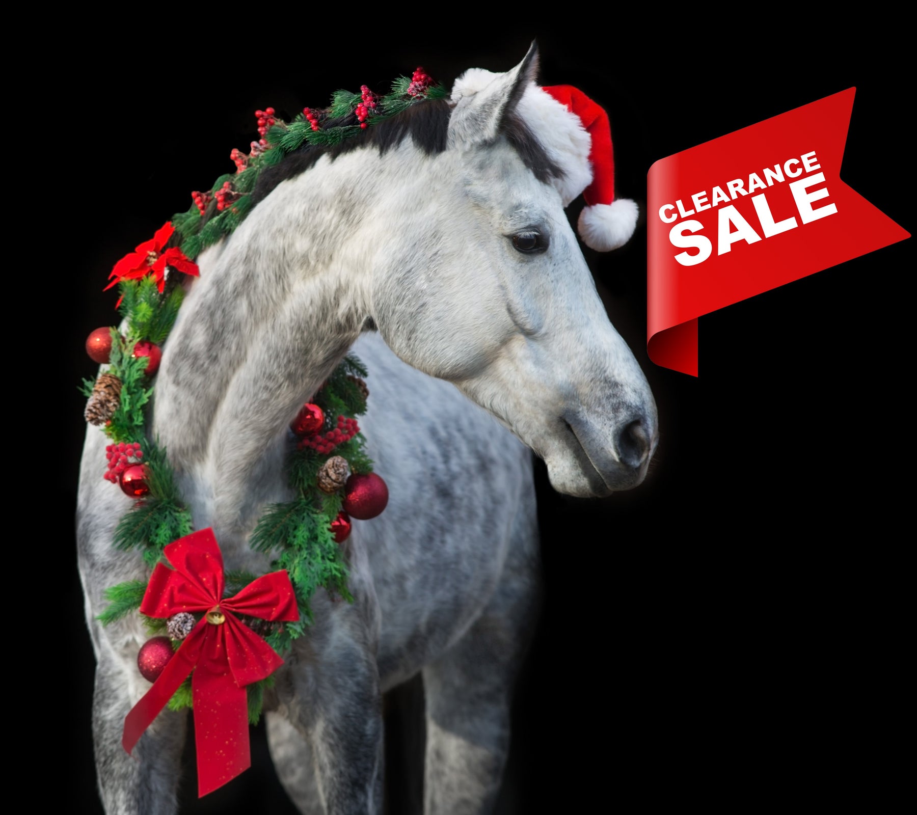 Clearance Equestrian Items