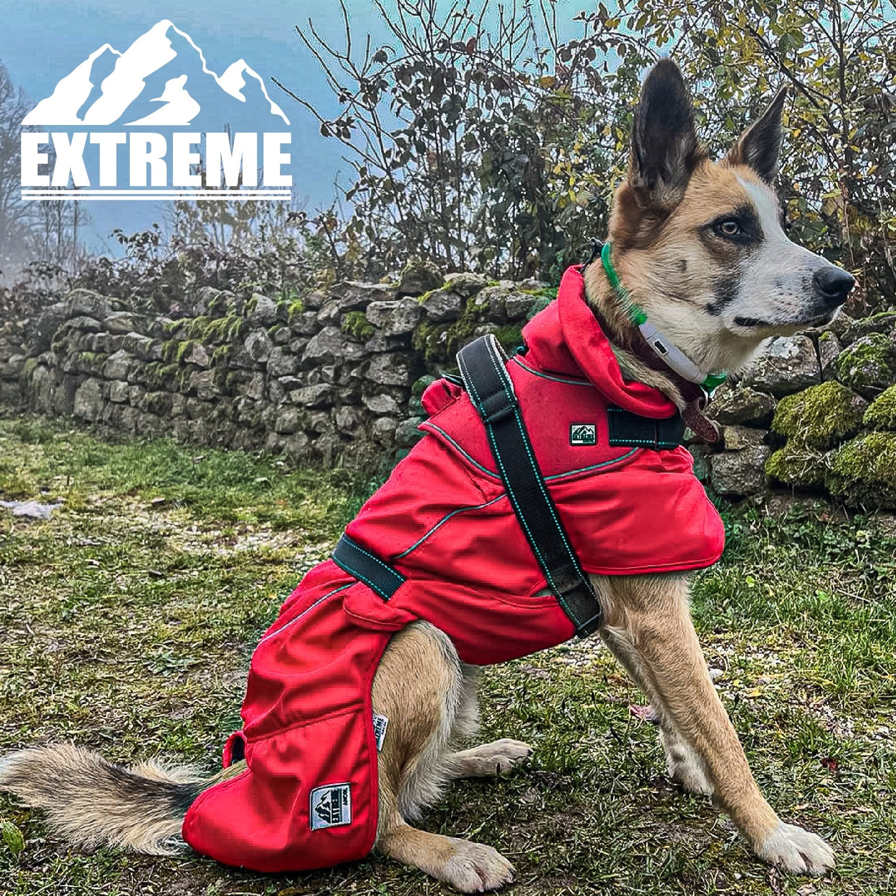 Ancol Extreme Blizzard Dog Coat Red Riding & Harness Stuff