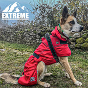 Ancol Dog Coat Ancol Extreme Blizzard Dog Coat Red