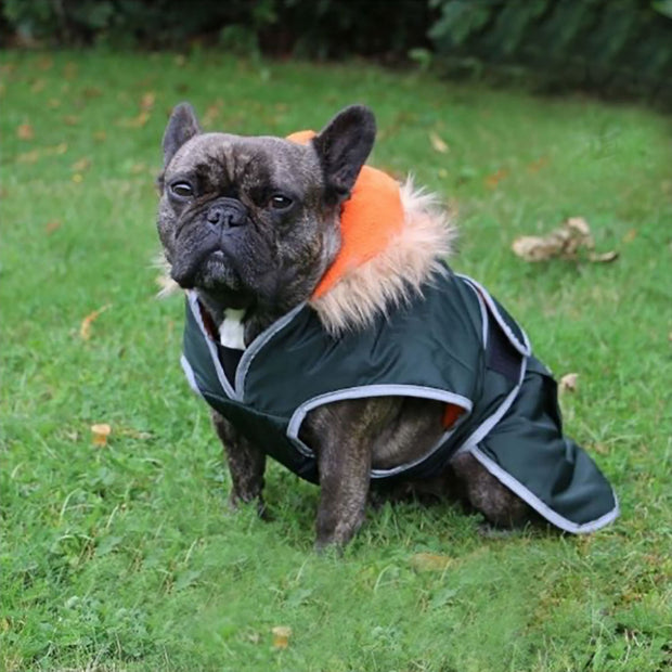 Ancol Dog Coat Ancol Parka Dog Coat Green