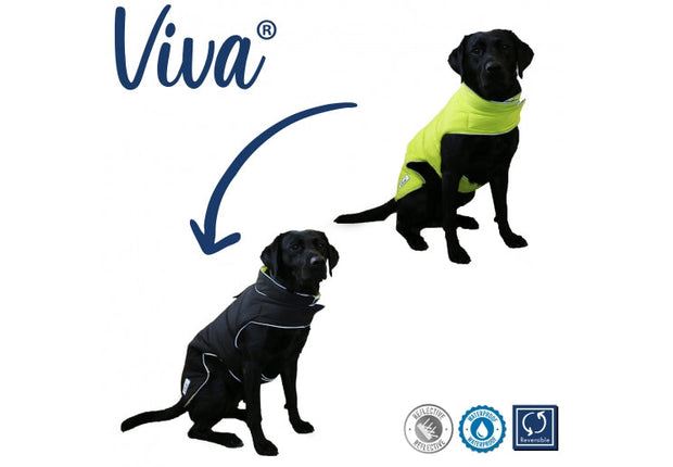 Ancol Dog Coat Ancol Viva Dog Coat Reversible Black/High Vis