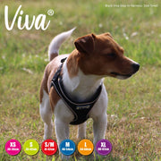 Ancol Dog Harness Ancol Viva Step-In Dog Harness CLEARANCE