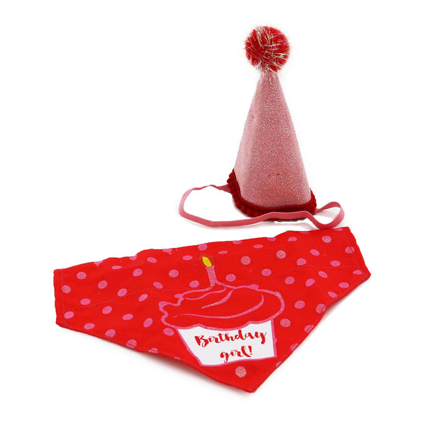 Ancol Dog Toy Pink Ancol Pawty Time Party Hat & Bandana Set