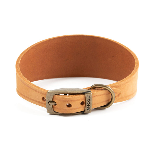 Ancol Dog Collar Size 2 (30-34cm) / Mustard Ancol Timberwolf Hound Dog Collar