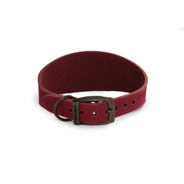 Ancol Dog Collar Size 2 (30-34cm) / Raspberry Ancol Timberwolf Hound Dog Collar
