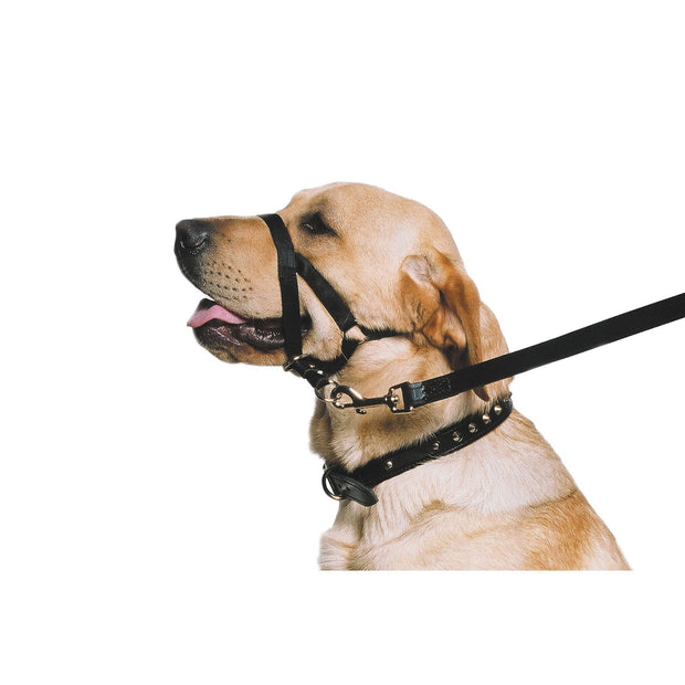 Ancol Dog Collar Smal Size 1-2 Ancol Nylon Training Dog Halter