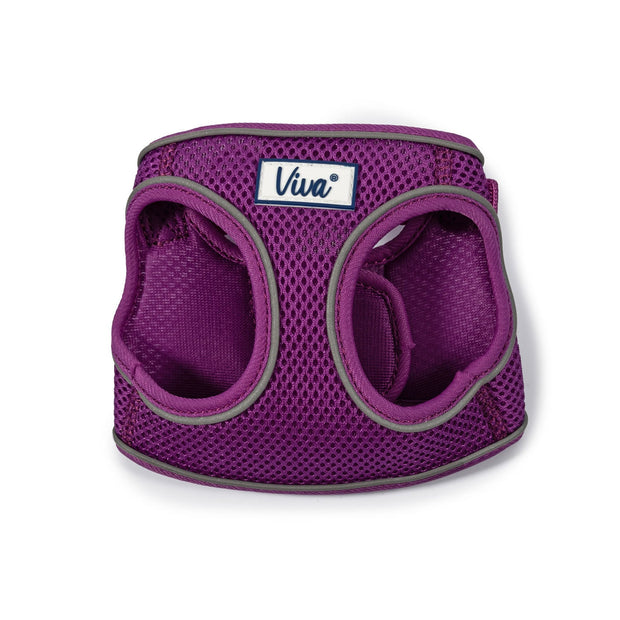 Ancol Dog Harness XSmall (30-36cm) / Purple Ancol Viva Step-In Dog Harness