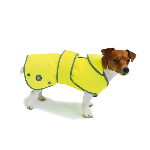 Ancol Dog Coat XSmall Ancol Stormguard Dog Coat Reflective Yellow
