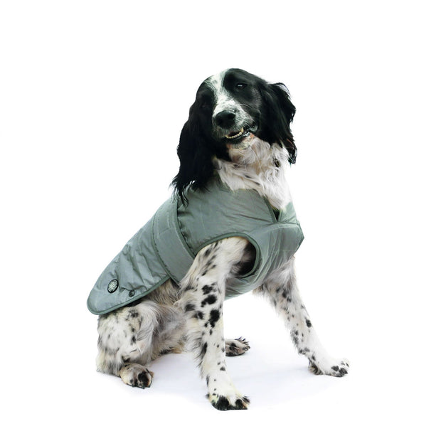 Ancol Dog Coat Ancol Ultimate Reflective Dog Coat