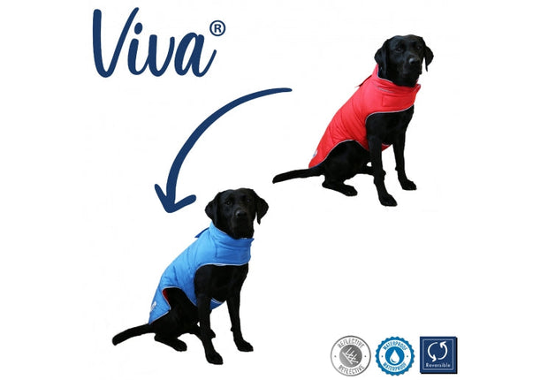 Ancol Dog Coat XSmall Ancol Viva Dog Coat Reversible Red/Blue