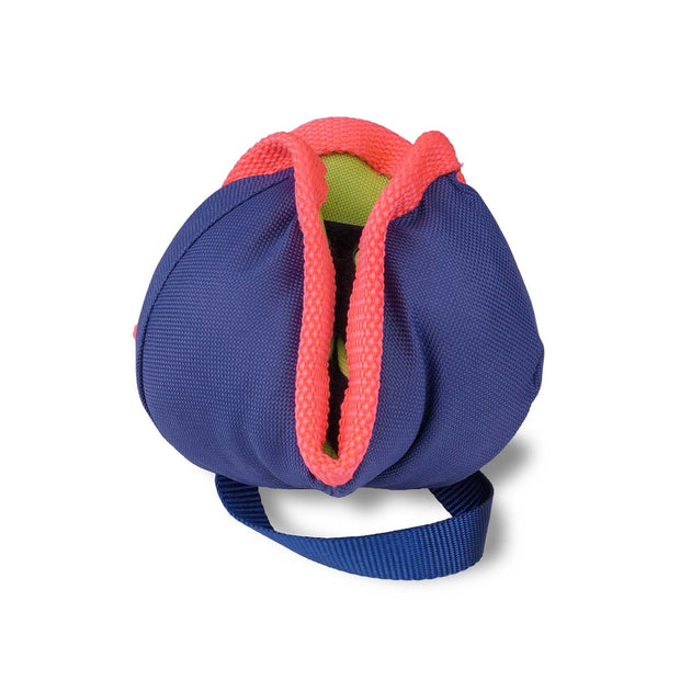 Coachi Dog Toy Coachi Chase & Treat