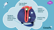 Coachi Dog Toy Coachi Chase & Treat