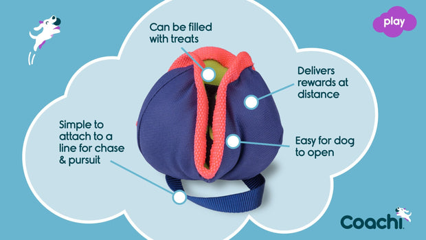 Coachi Dog Toy Coachi Chase & Treat
