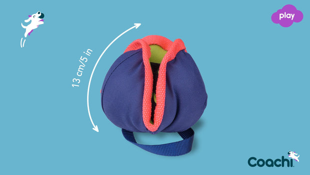 Coachi Dog Toy Coachi Chase & Treat
