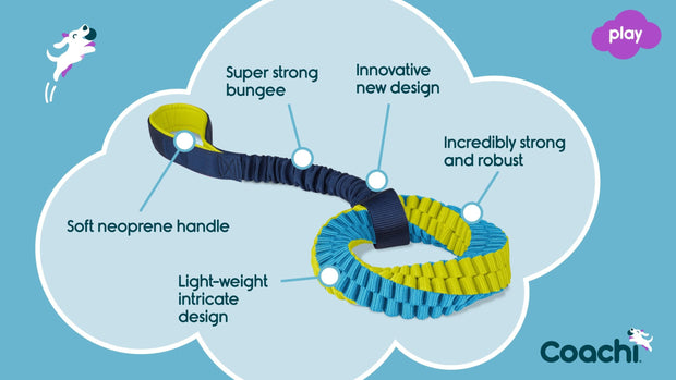 Coachi Dog Toy Coachi Helix