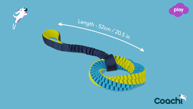 Coachi Dog Toy Coachi Helix