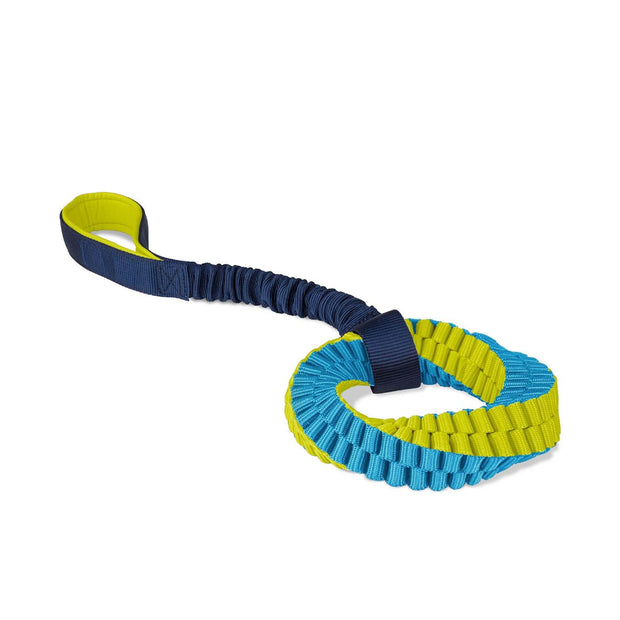 Coachi Dog Toy Coachi Helix