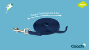 Coachi Dog Lead Coachi Puppy Training Line