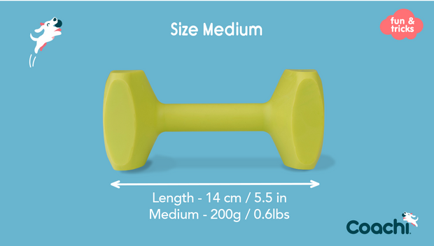 Coachi Dog Toy Coachi Training Dumbell