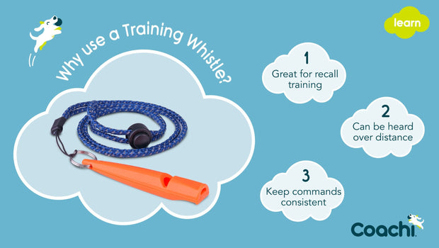 Coachi Dog Whistle Coachi Training Whistle