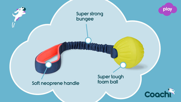 Coachi Dog Toy Coachi Tuggi Ball