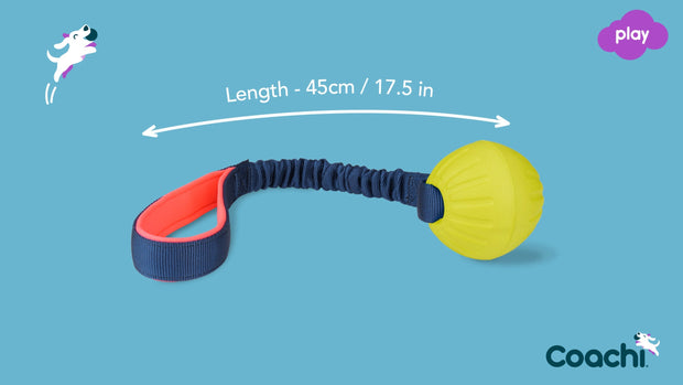 Coachi Dog Toy Coachi Tuggi Ball