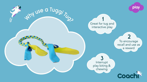 Coachi Dog Toy Coachi Tuggi Tug