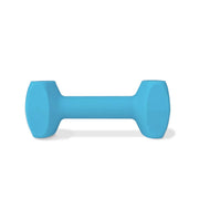 Coachi Dog Whistle Large Coachi Training Dumbell