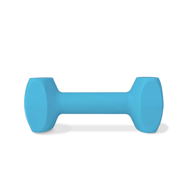 Coachi Dog Whistle Large Coachi Training Dumbell