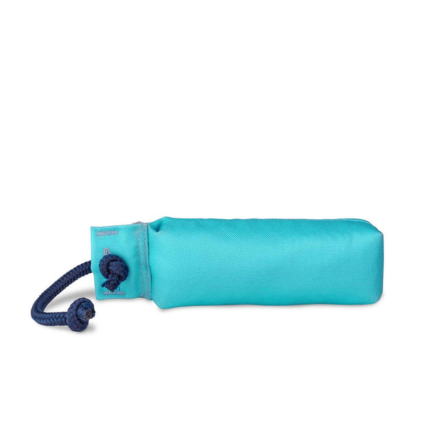 Coachi Dog Whistle Large Coachi Training Dummy