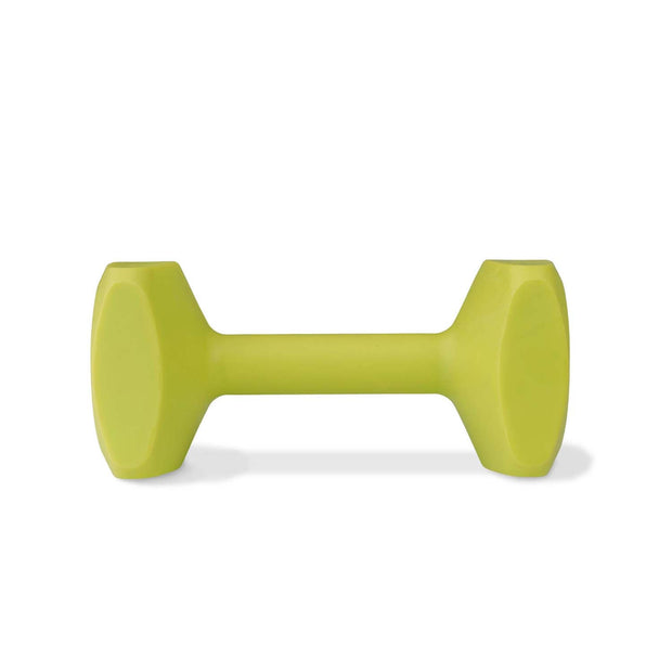 Coachi Dog Whistle Medium Coachi Training Dumbell