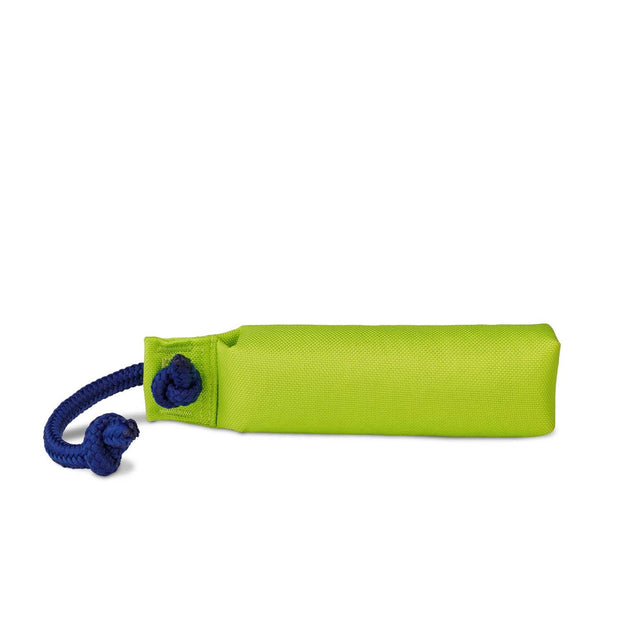 Coachi Dog Whistle Medium Coachi Training Dummy