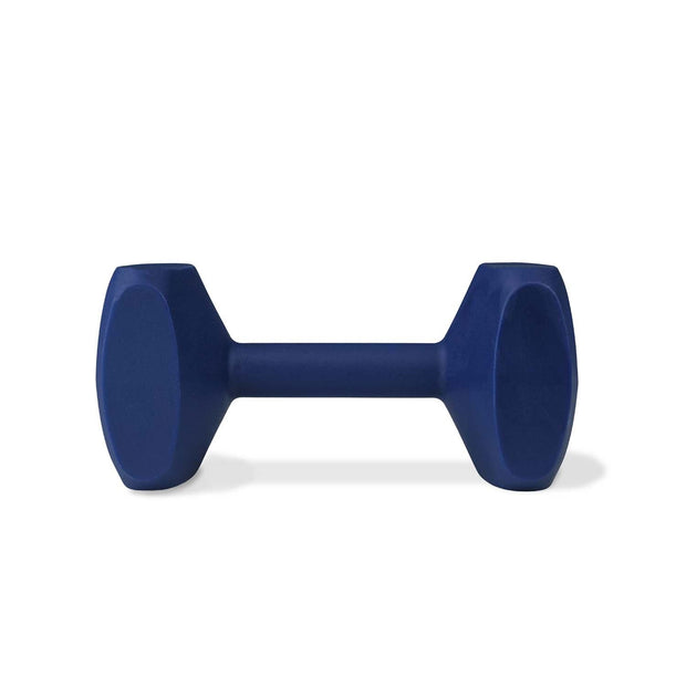 Coachi Dog Whistle Small Coachi Training Dumbell