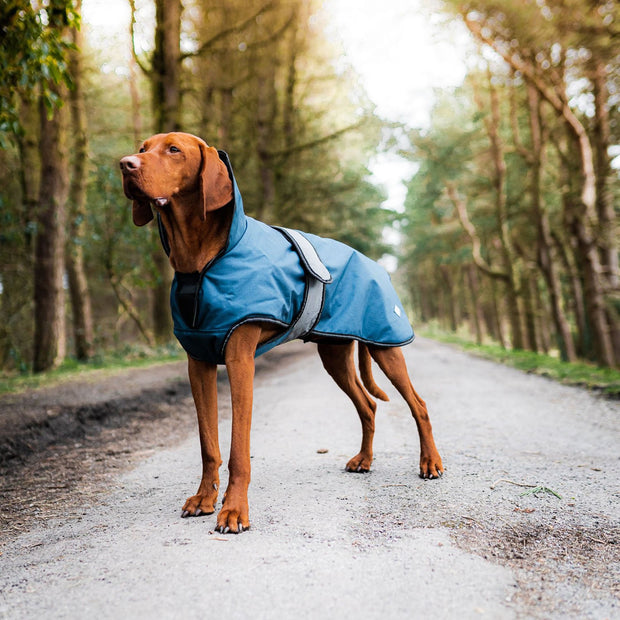 Danish Design Dog Coat Danish Design Ultimate 2-in-1 Dog Coat Blue