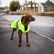 Danish Design Dog Coat Danish Design Ultimate 2-in-1 Dog Coat High Vis Yellow