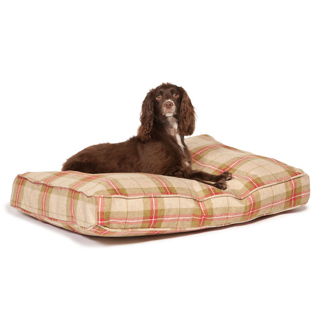 Danish Design Dog Beds Medium Danish Design Newton Box Dog Bed