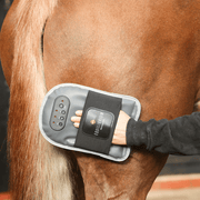 Equilibrium Products Horse Treatments Equilibrium Massage Mitt