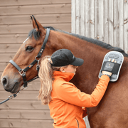 Equilibrium Products Horse Treatments Equilibrium Massage Mitt