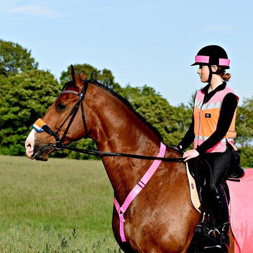 Equisafety High Viz Equisafety Multi Colour Hi Vis Waistcoat Pink/Orange SPECIAL OFFER