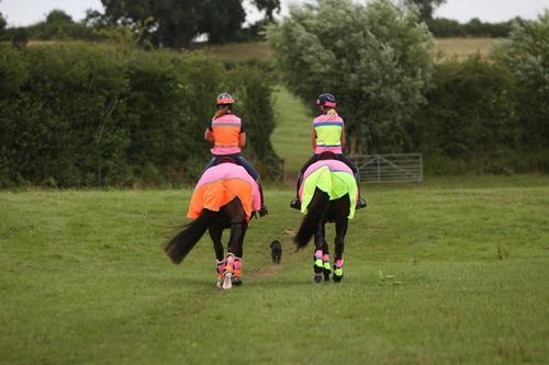 Equisafety High Viz Equisafety Multi Colour Hi Vis Waistcoat Pink/Orange SPECIAL OFFER