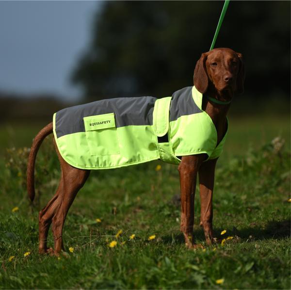 Equisafety Dog Coat Large / Yellow Equisafety Reflective Mercury Dog Rug Coat CLEARANCE YELLOW LARGE