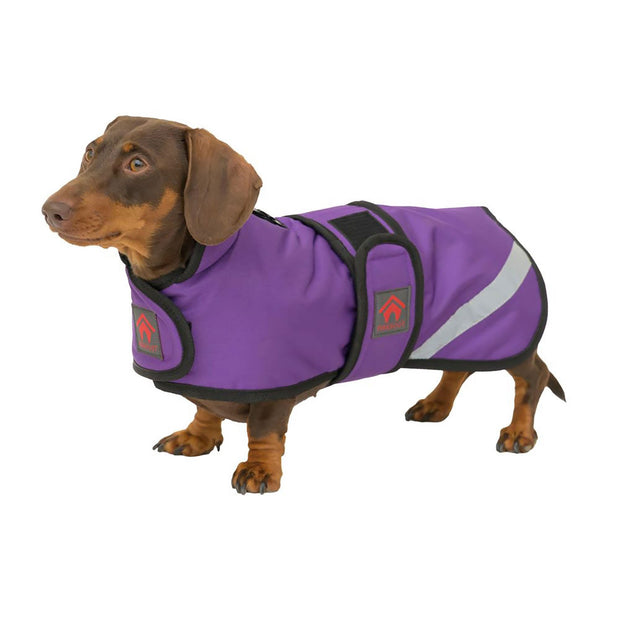 Firefoot Dog Coat 12" 30cm / Purple Firefoot Outdoor Dachshund Coat with Fleecy Lining