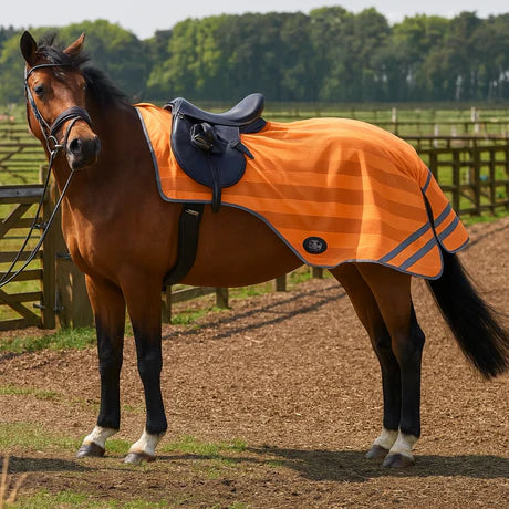 Firefoot Horse Rugs Pony Firefoot Reflective Exercise Sheet Orange