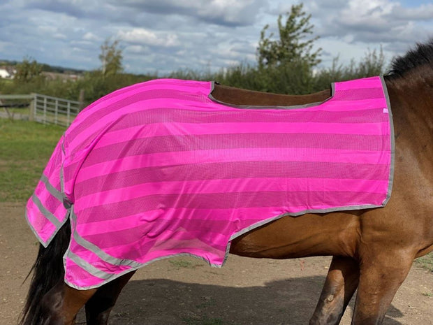Firefoot Horse Rugs Pony Firefoot Reflective Exercise Sheet Pink