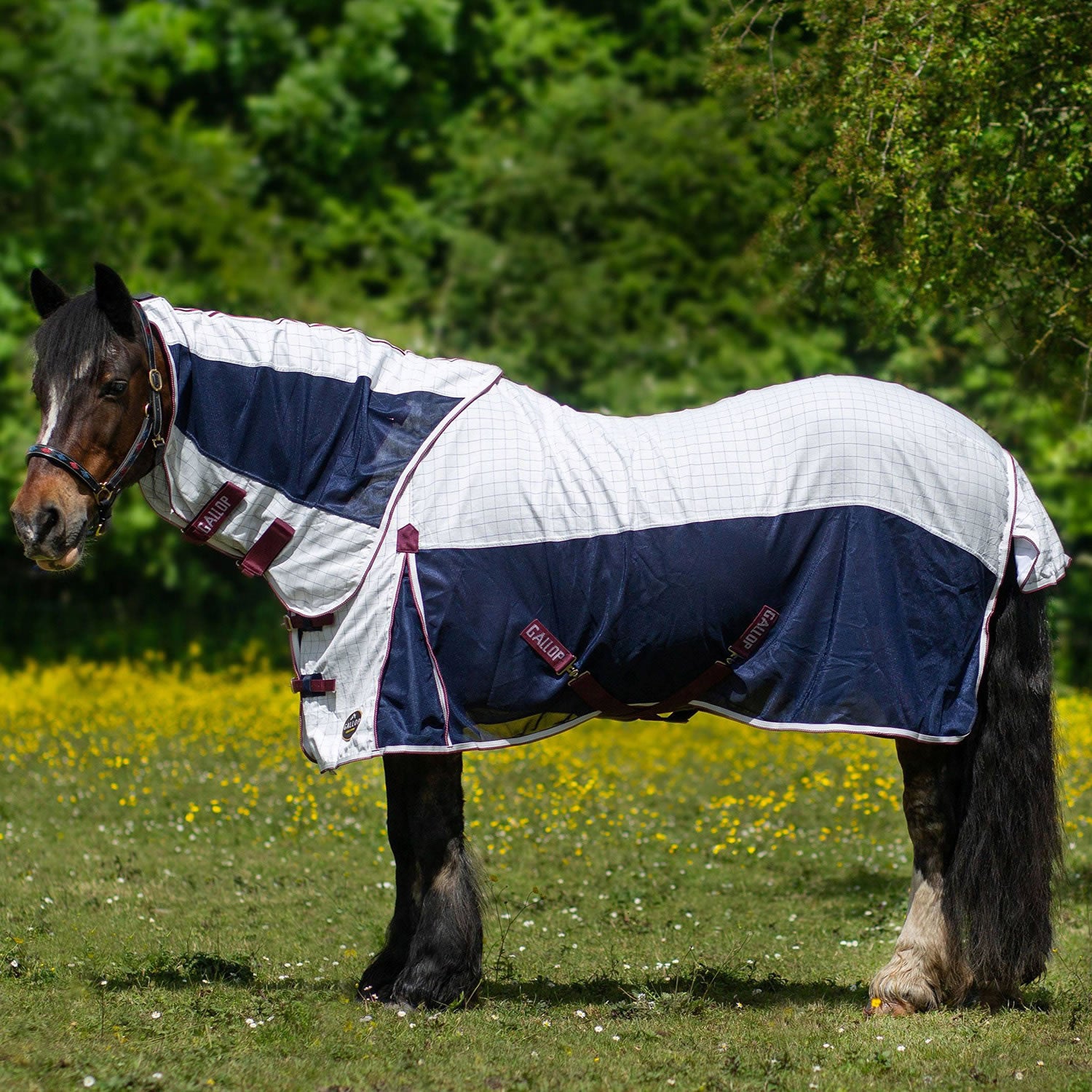 Gallop Air Mesh Detachable Cooler White – Riding & Harness Stuff
