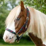 Gallop Headcollar Pony / Burgundy/Green Gallop Diamond Padded Leather Headcollar